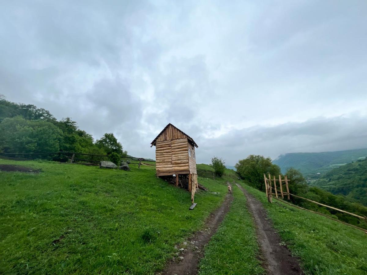 Alereks Mountain Camping Tumanyan エクステリア 写真