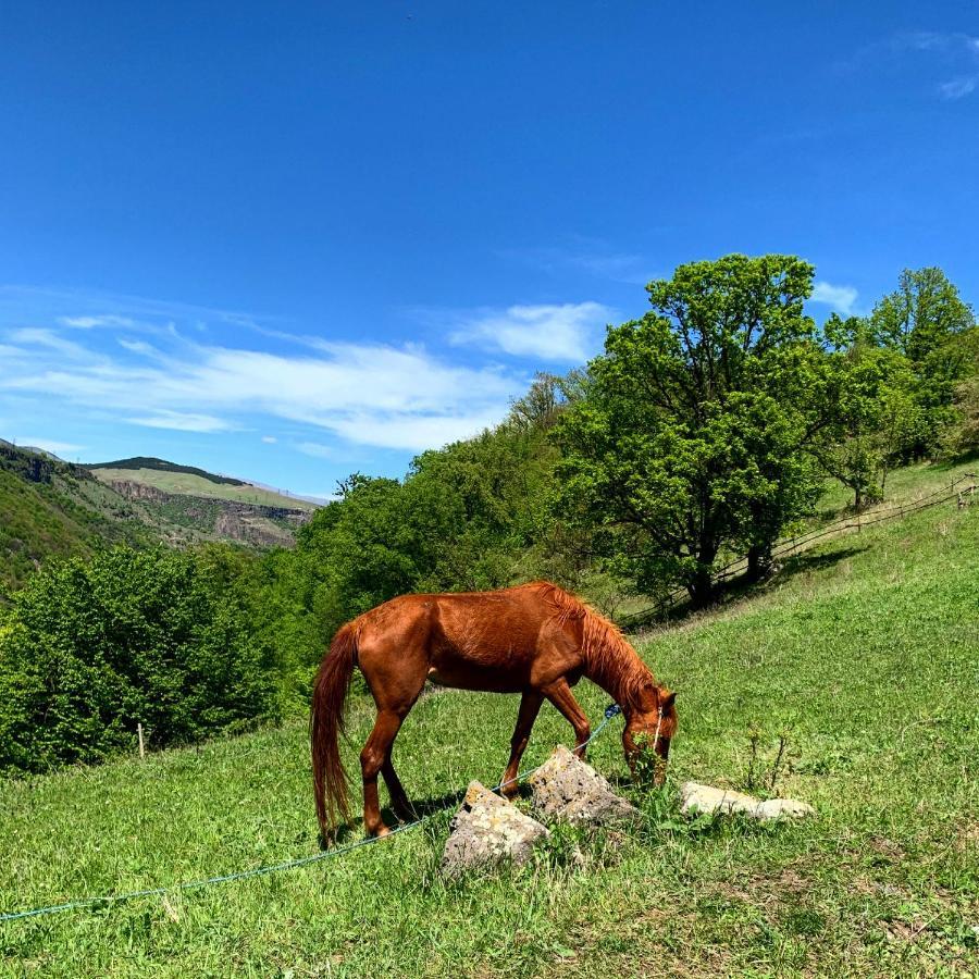 Alereks Mountain Camping Tumanyan エクステリア 写真